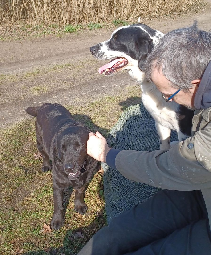 Rez, a.d.Tierschutz, ruhig und menschenbezogen