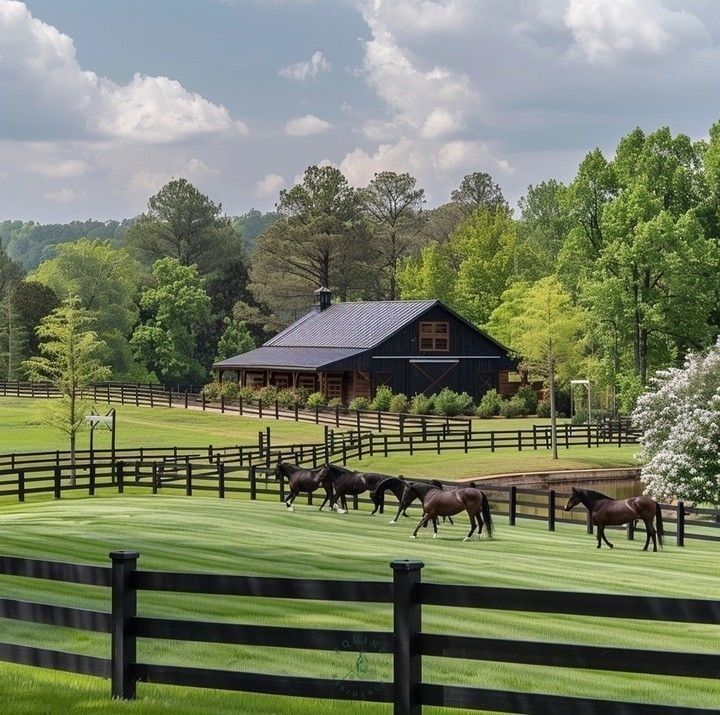 Suche Festanstellung auf Ranch/ Pferdehof