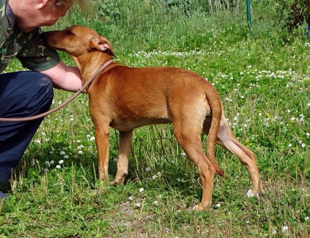 Ciana - eine sanfte Nachzüglerin