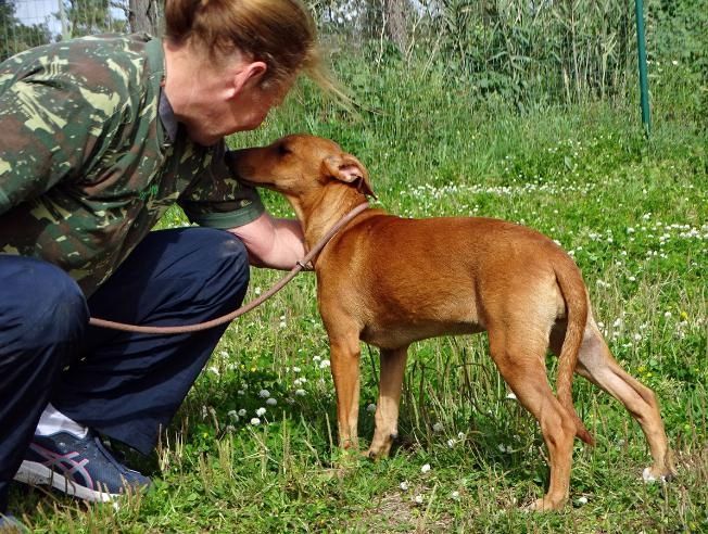 Ciana - eine sanfte Nachzüglerin