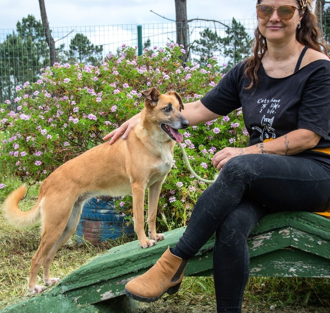 Sunny - eine selbstvewusste Dame