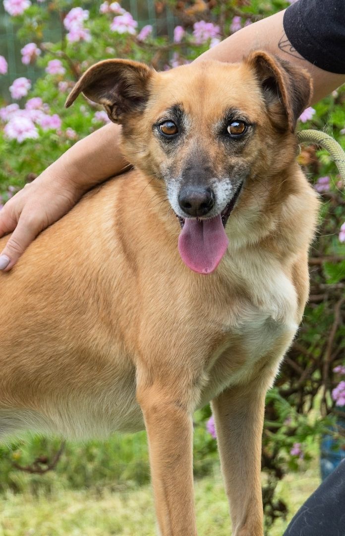 Sunny - eine selbstvewusste Dame