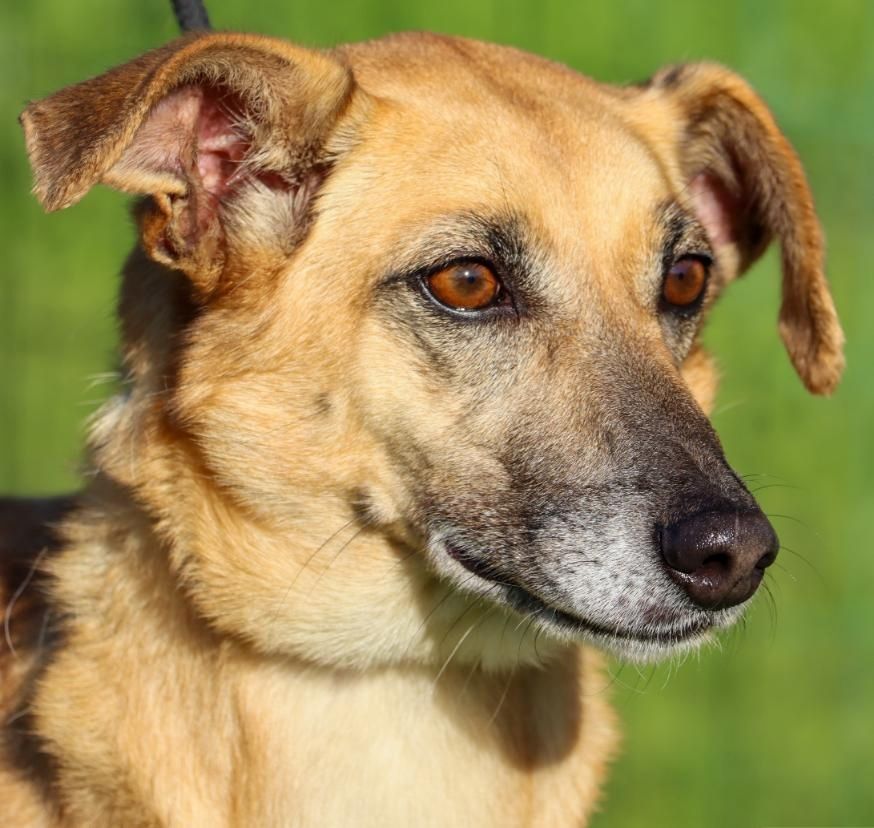 Sunny - eine selbstvewusste Dame