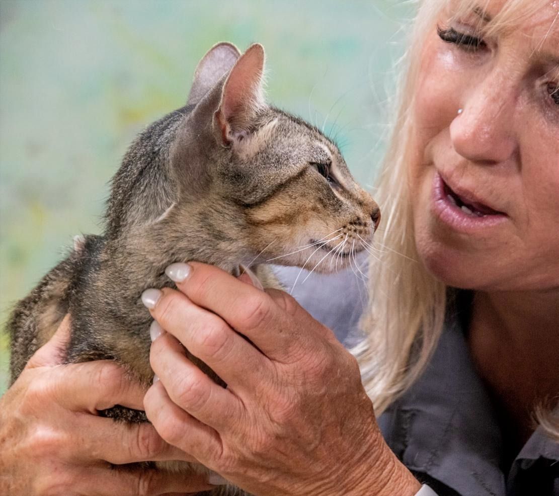 Manel - jung und verspielt