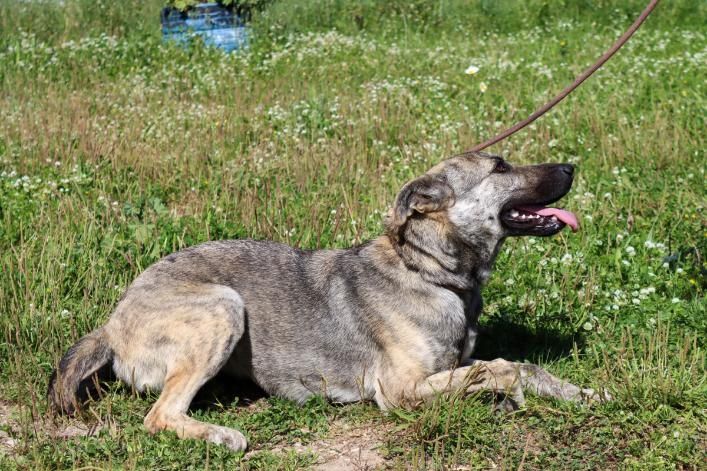 Jennifer - ein liebes Mädchen