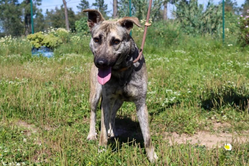 Jennifer - ein liebes Mädchen