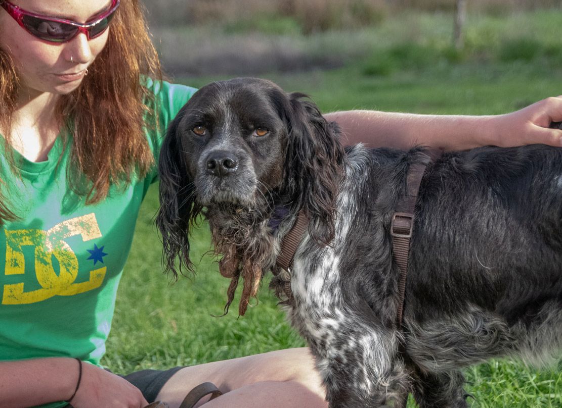 Xico - ein unkomplizierter Begleiter