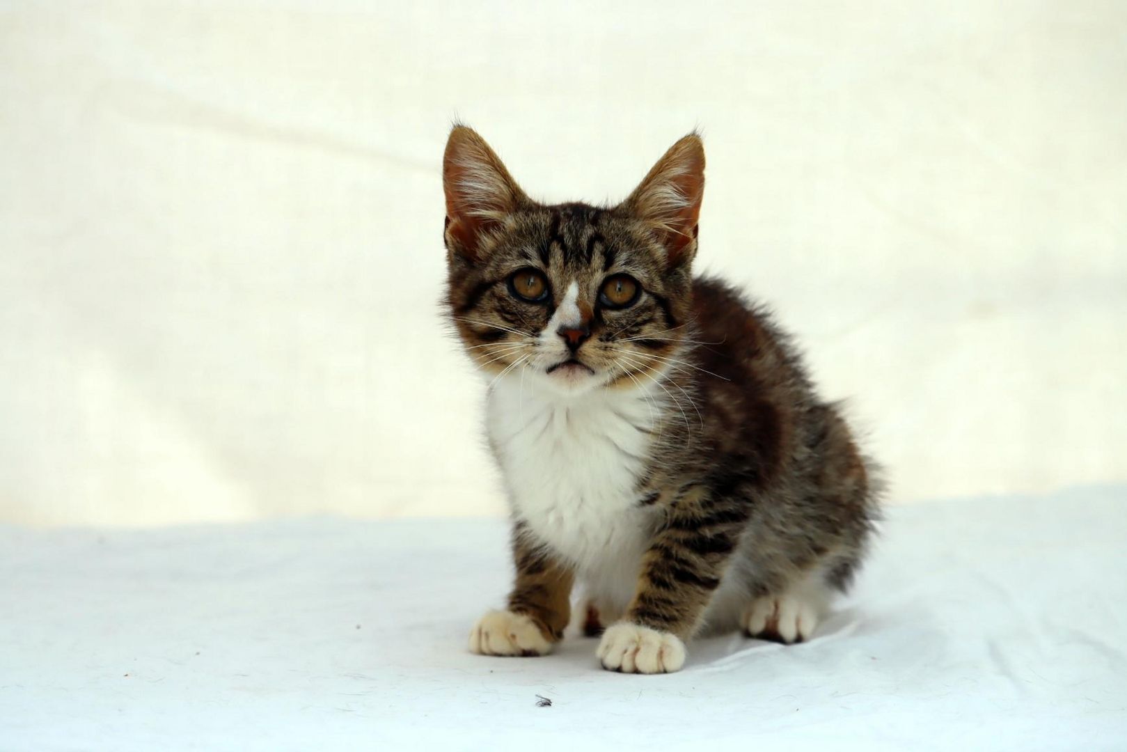 Kim - ein kleines Glückskind