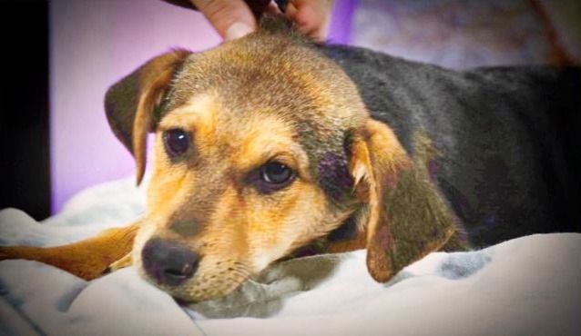 Moritz - ein kleiner Charmeur