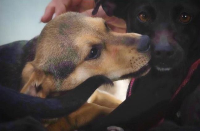 Moritz - ein kleiner Charmeur