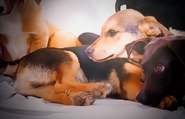 Moritz - ein kleiner Charmeur