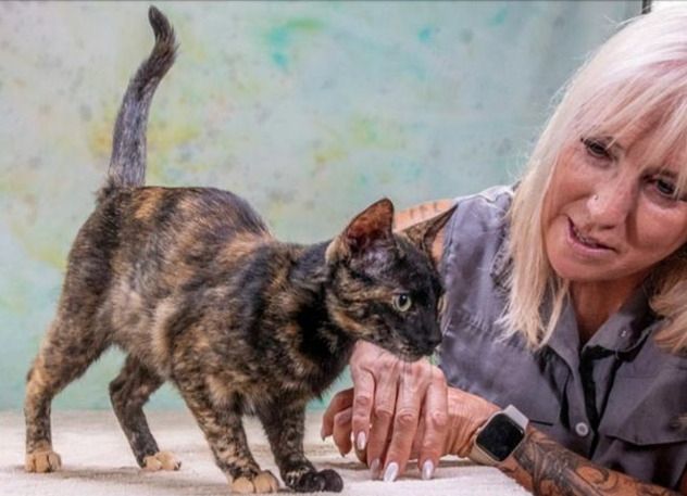 Esperanca - eine feine Lady