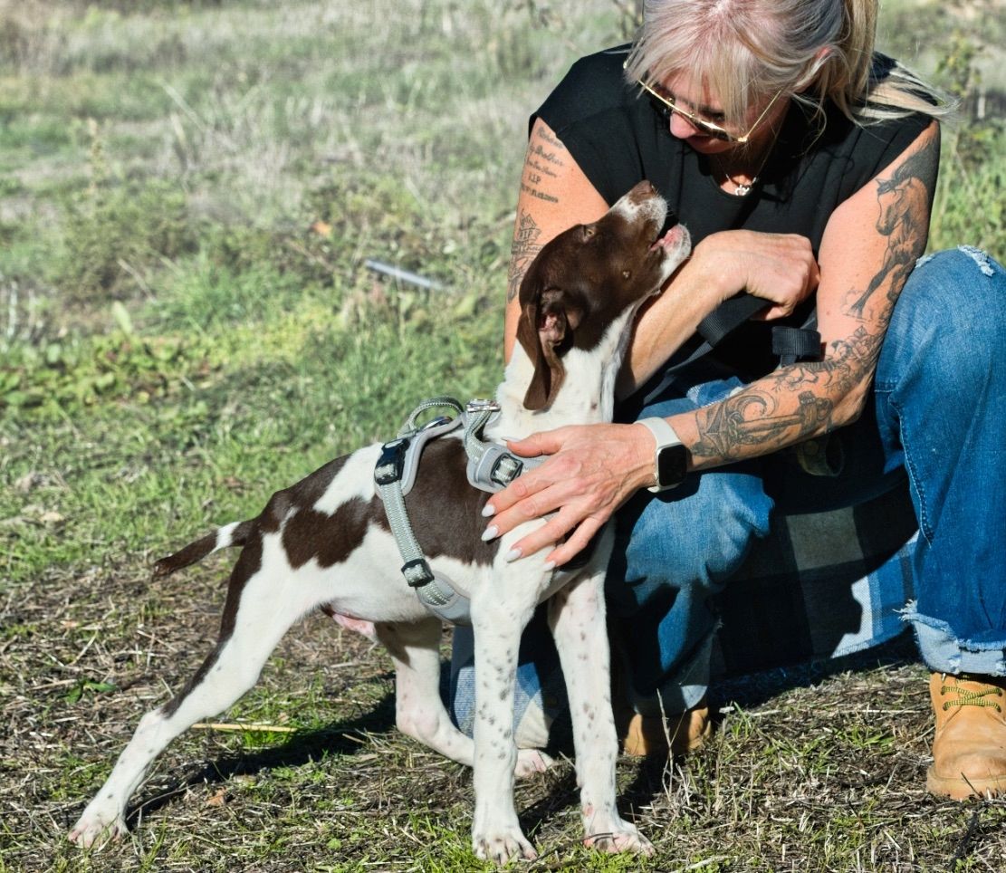 Scout - bereit für Abenteuer