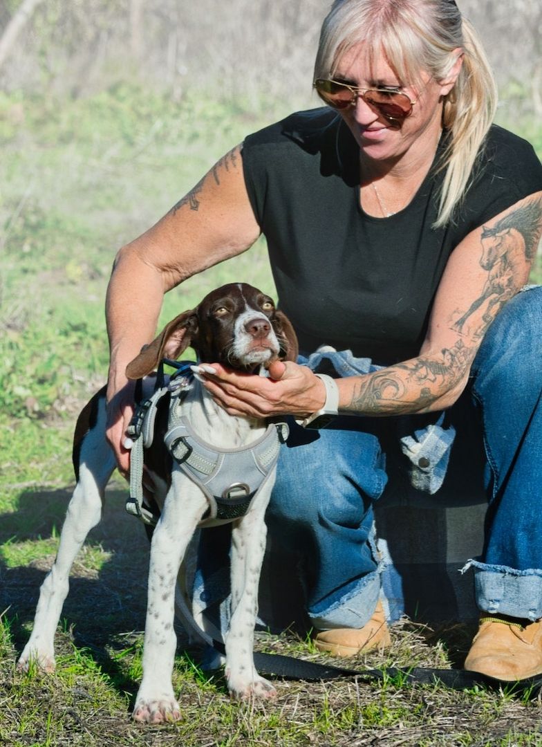 Scout - bereit für Abenteuer