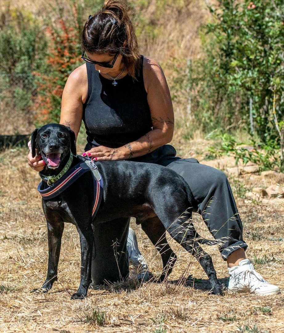 Amadeo - ein guter Kerl