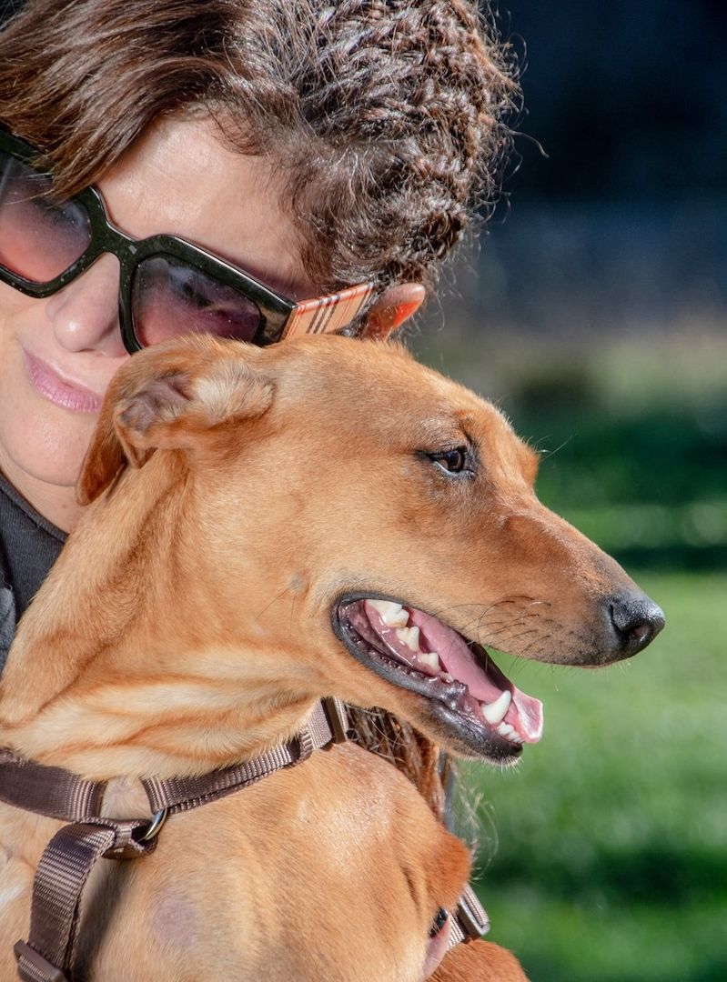 Ciana - eine sanfte Nachzüglerin