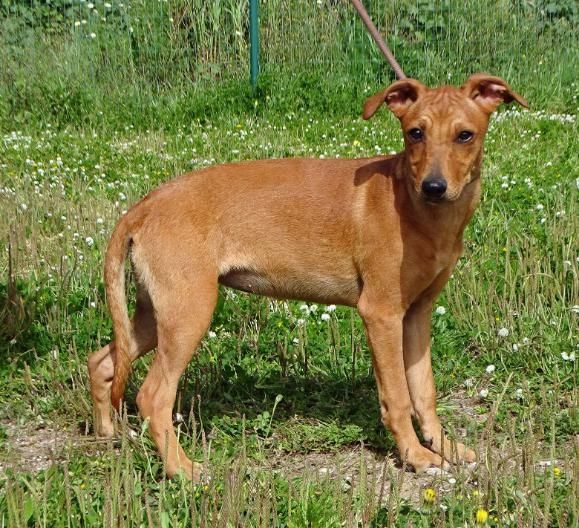 Ciana - eine sanfte Nachzüglerin