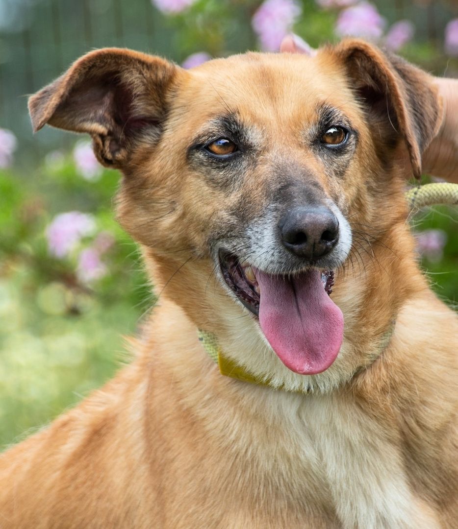 Sunny - eine selbstbewusste Dame