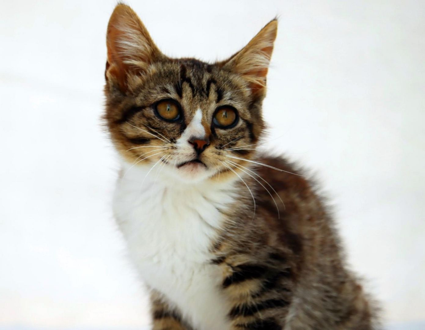 Kim - ein kleines Glückskind