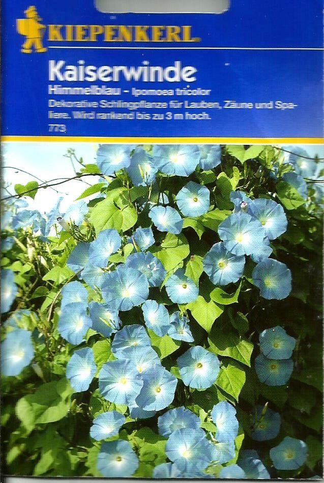 Jetzt ist ideale Pflanzzeit ! Gebe kostenlos Nachzuchtssamen von der Kaiserwinde ( blau ) ab !