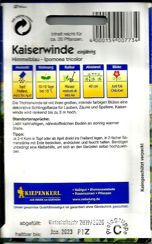 Jetzt ist ideale Pflanzzeit ! Gebe kostenlos Nachzuchtssamen von der Kaiserwinde ( blau ) ab !