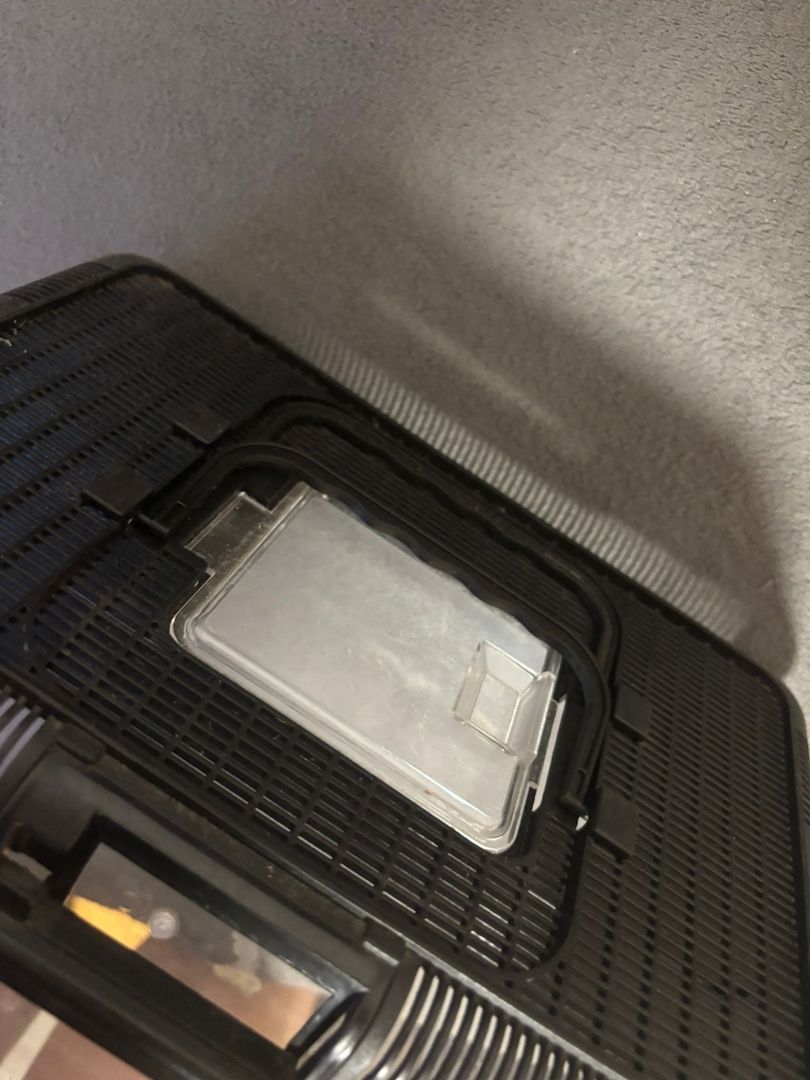 Griechische Landschildkröte