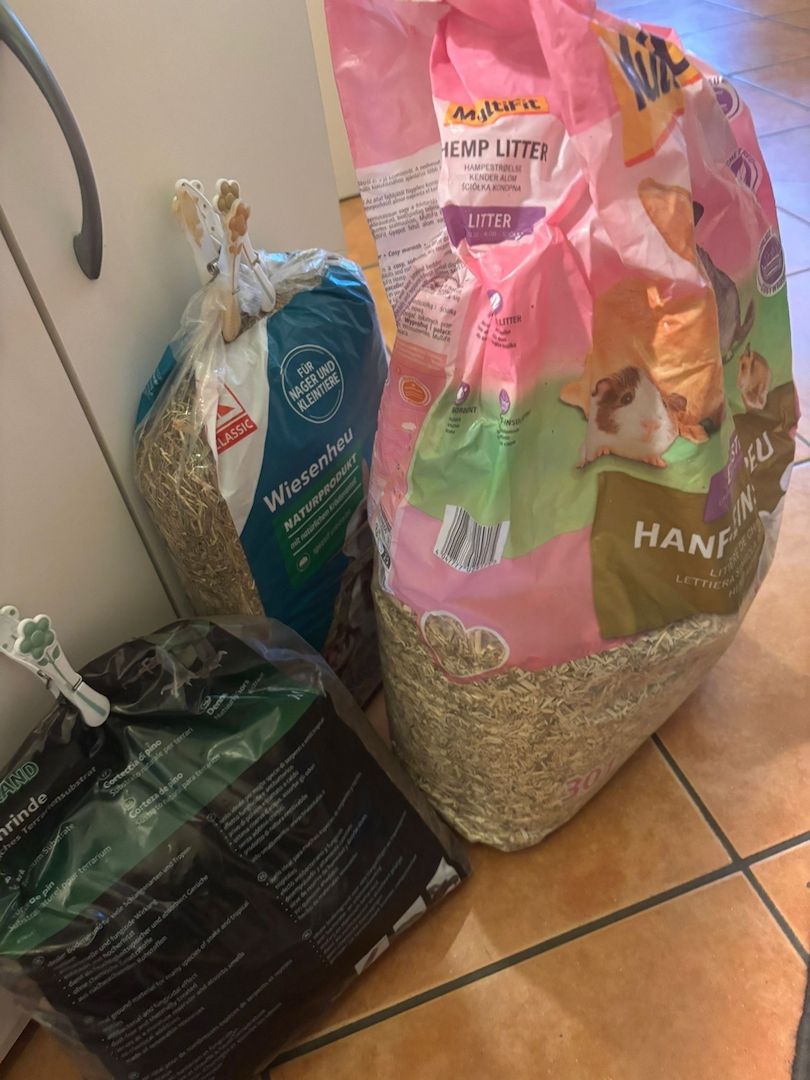 Griechische Landschildkröte