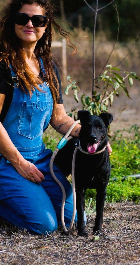 Matteus - ein sanfter Begleiter