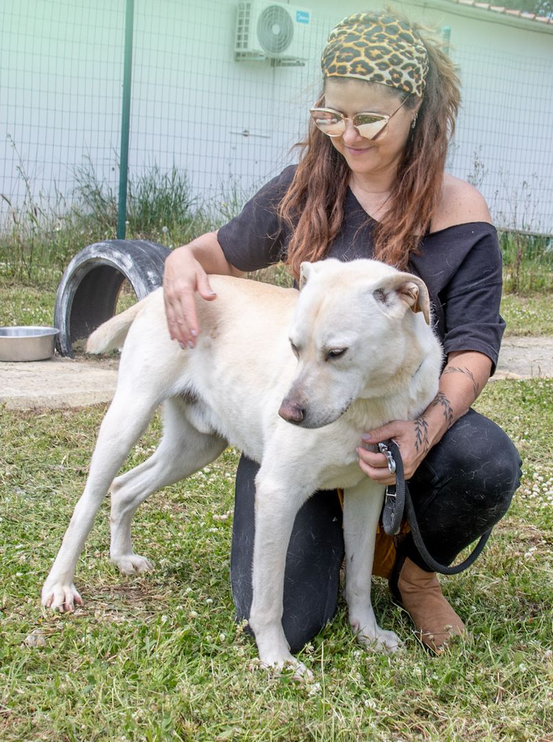 Lucas - ein aktiver Begleiter