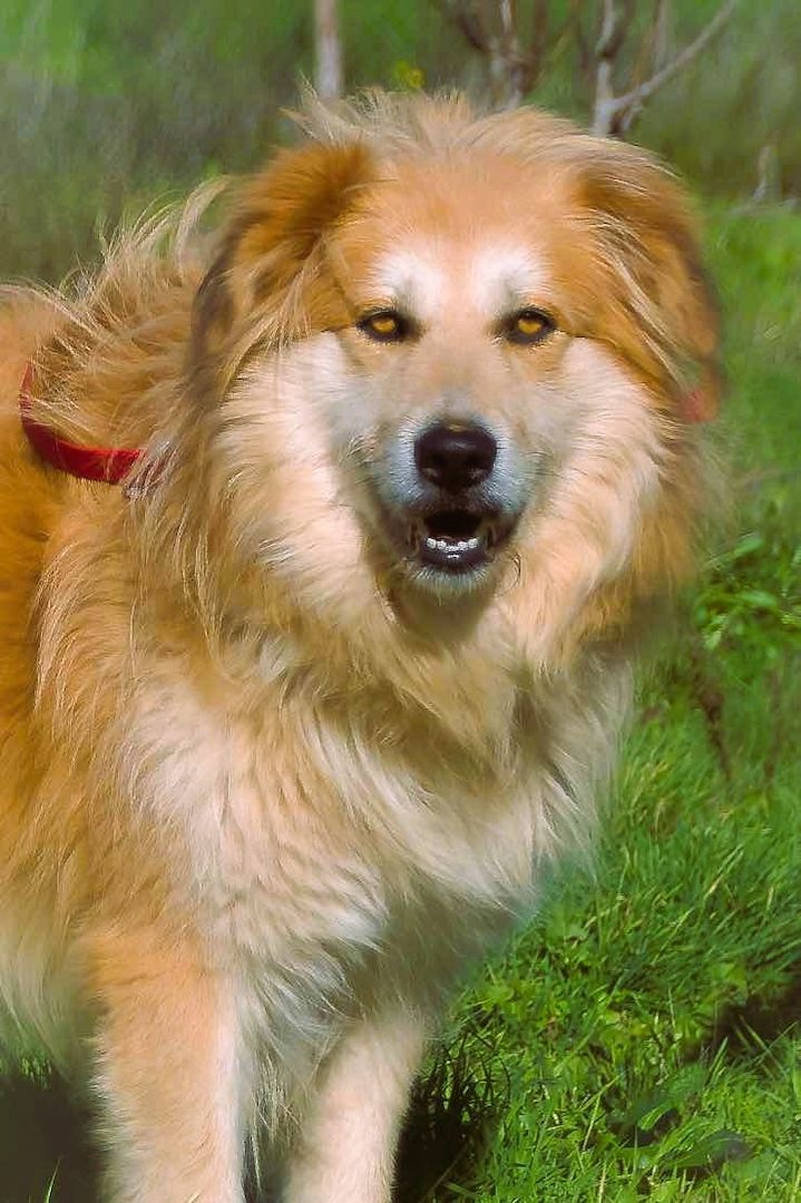 Rolex - anhänglich und aufgeschlossen