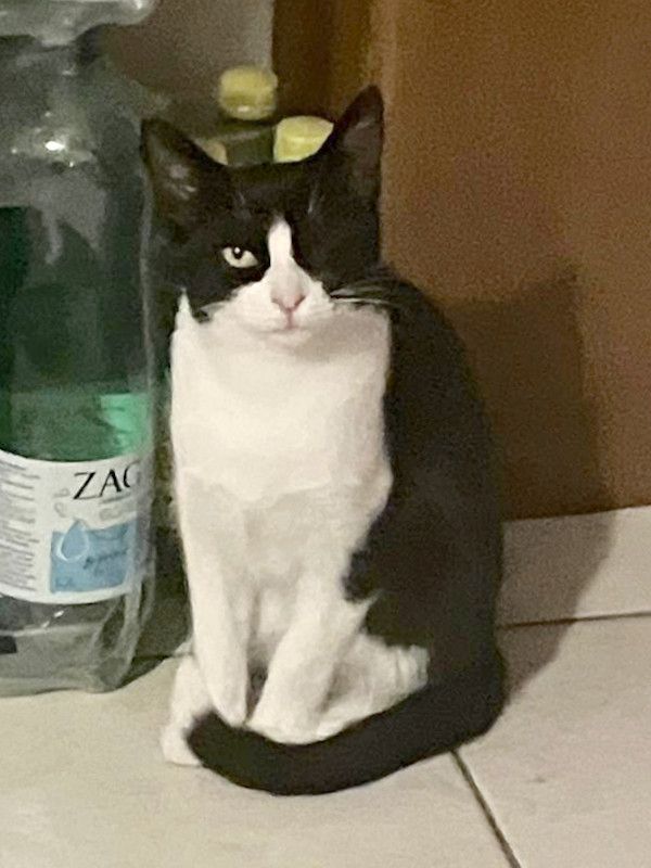 NOFRETETE - auch einäugig schön