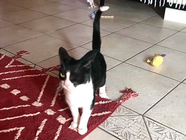 NOFRETETE - auch einäugig schön