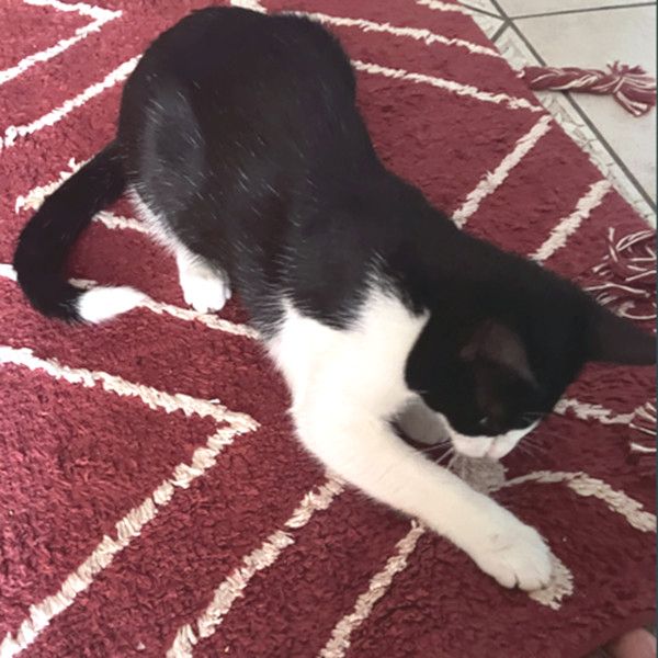 NOFRETETE - auch einäugig schön