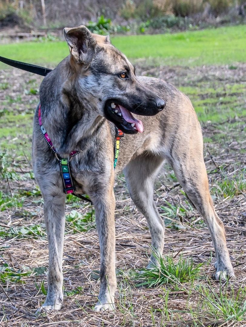 Jennifer - ein liebes Mädchen