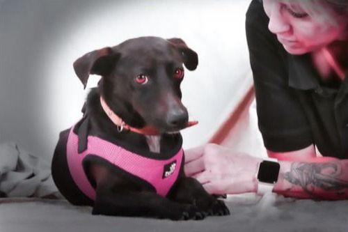 Marisa - ein liebes Mädchen