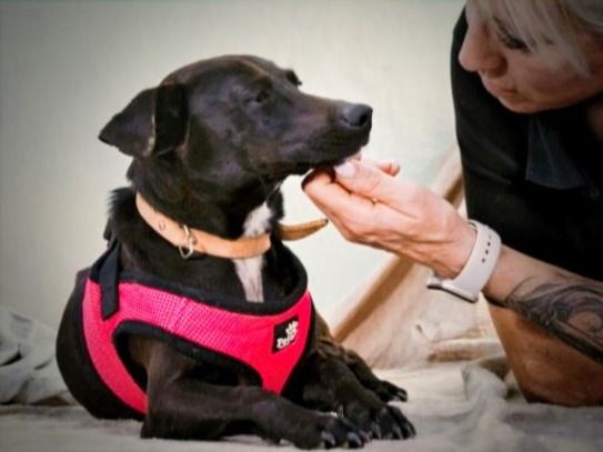 Marisa - ein liebes Mädchen