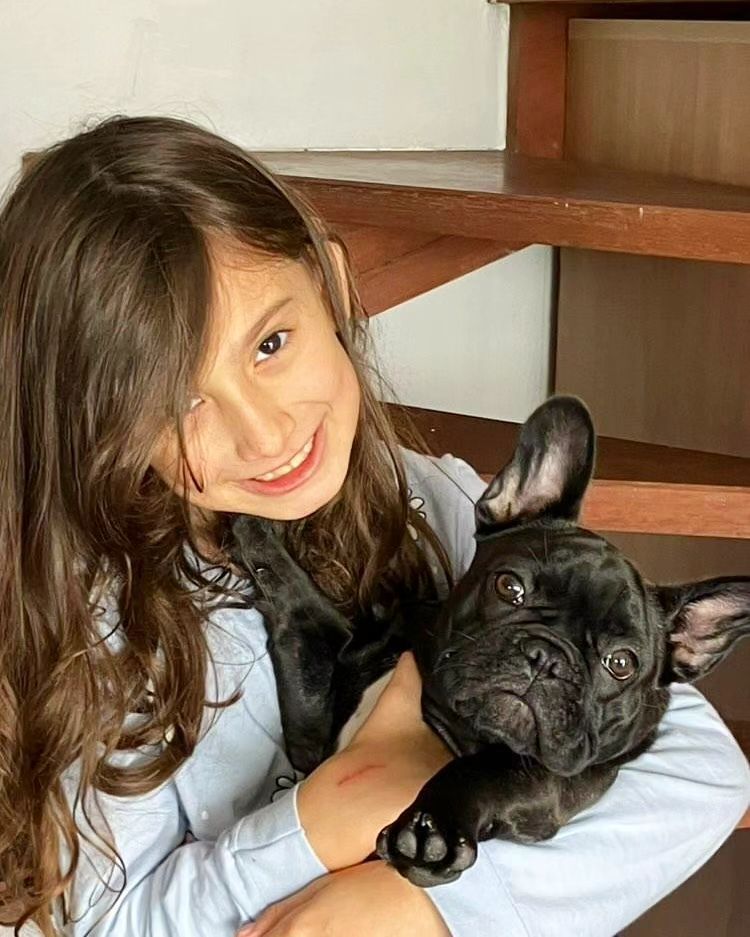 Französische Bulldoggenwelpen