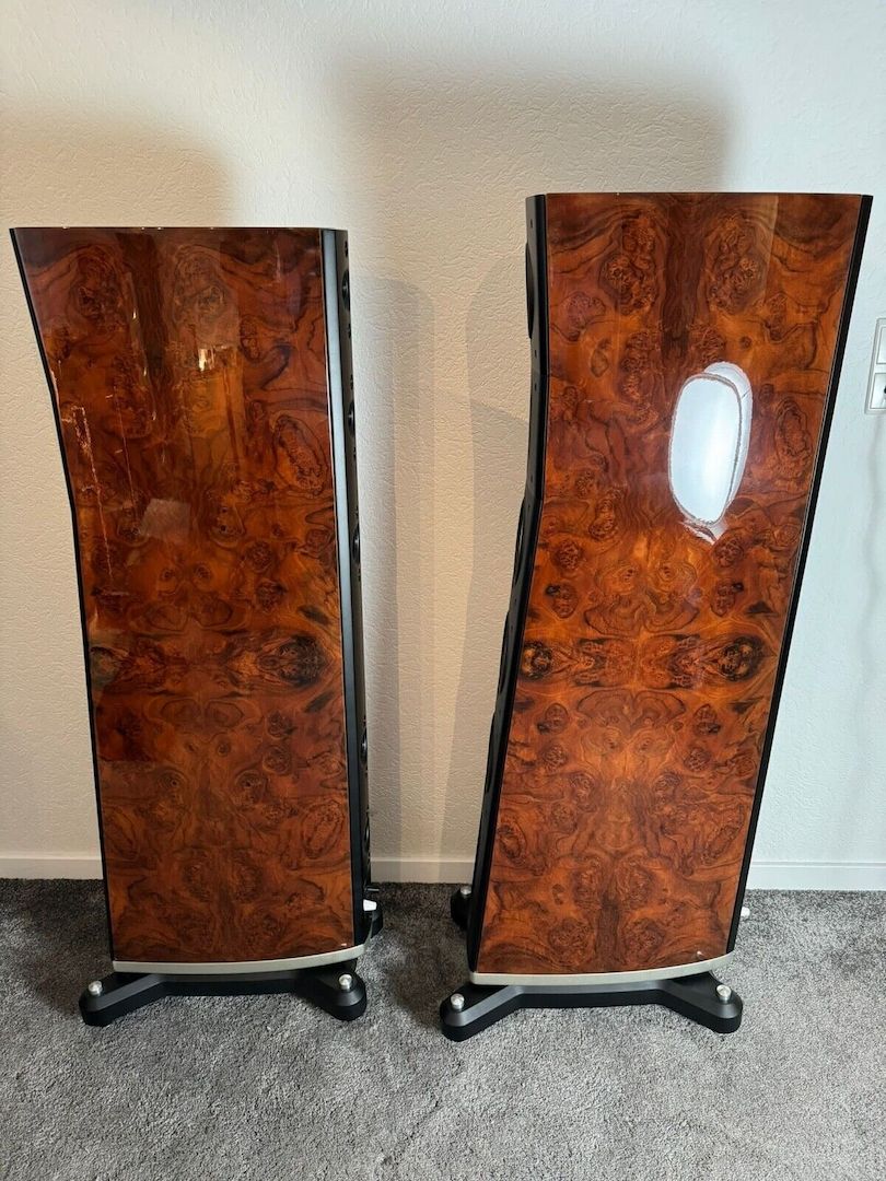 Raidho C3.1 High End Standlautsprecher