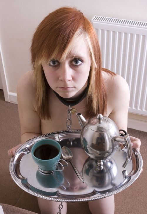 Sag mal, Sub, wann hast du das letzte Mal ein Halsband tragen dürfen?