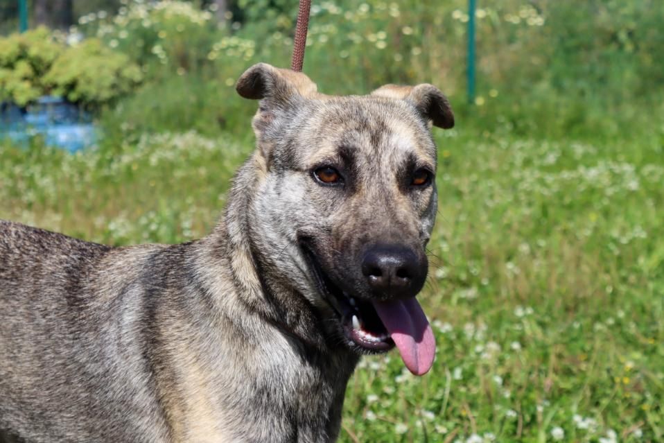 Jennifer - ein liebes Mädchen