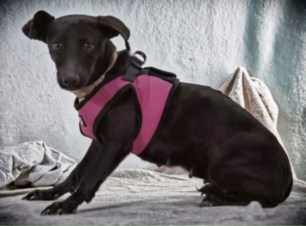 Marisa - ein liebes Mädchen