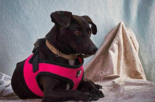 Marisa - ein liebes Mädchen