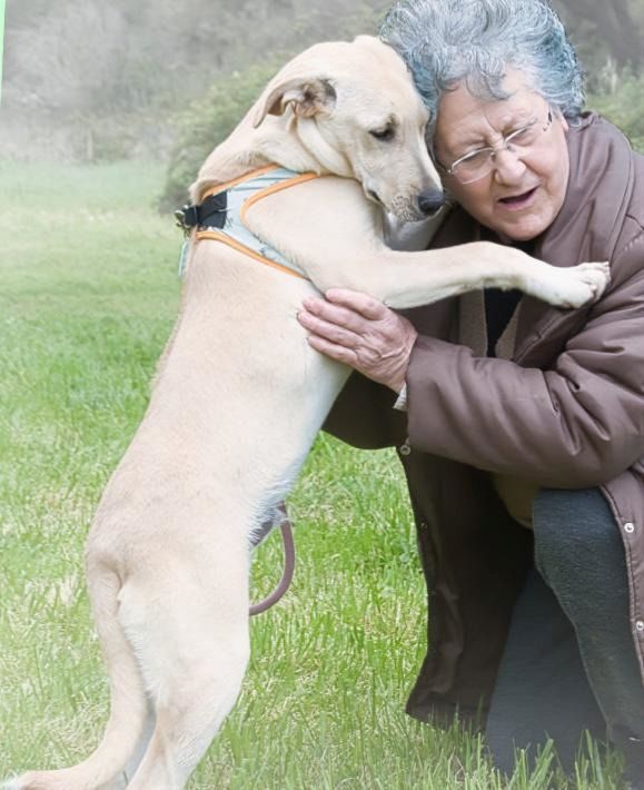 Chris - freundlich und neugierig