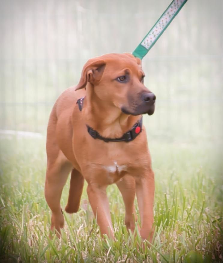 Mattheo - will die Welt entdecken