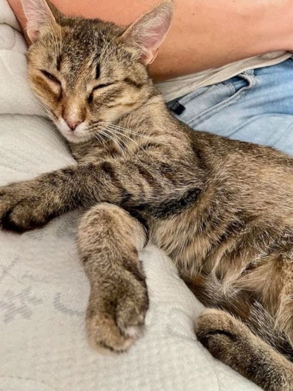 MINA - temperamentvolle Kuschelqueen