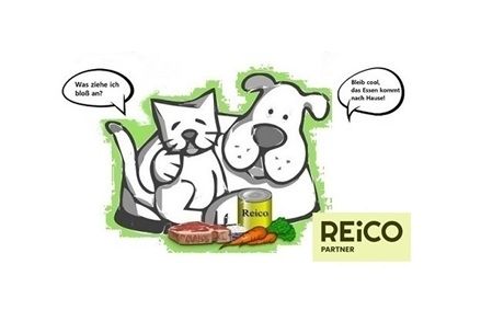 Wie sollte das optimale Futter für deinen Hund aussehen?