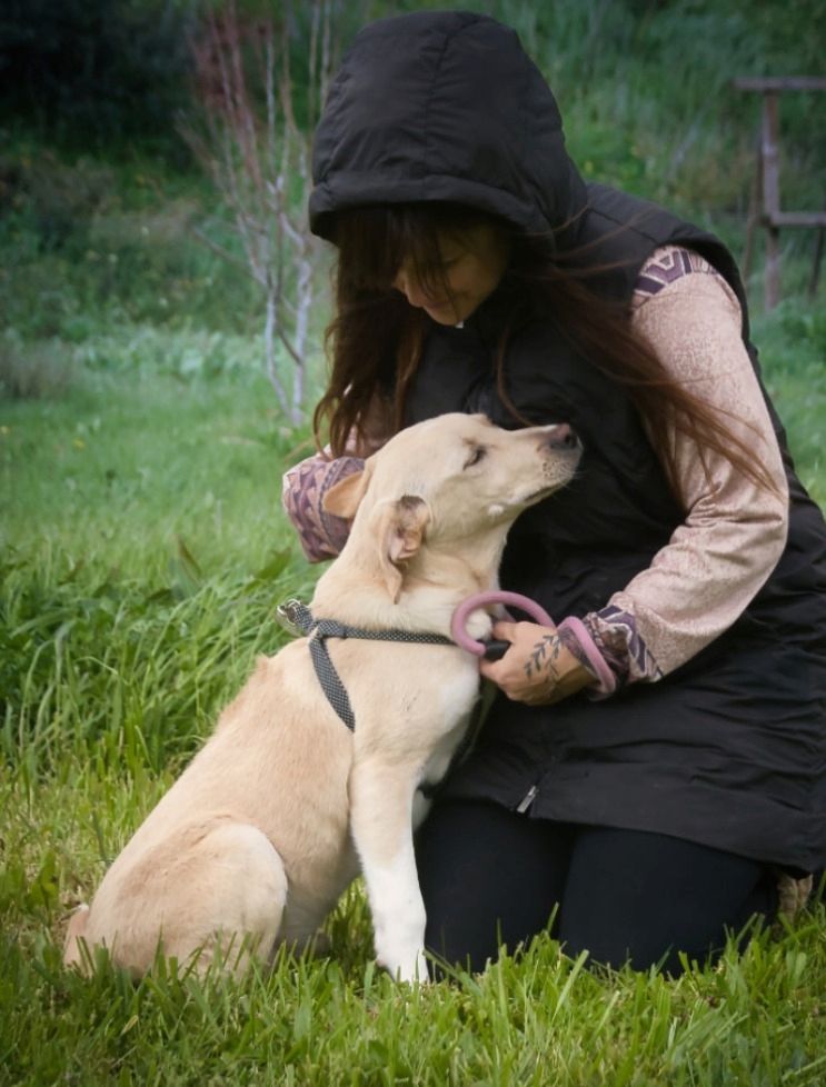 Ronaldo - ein junger Sunnyboy