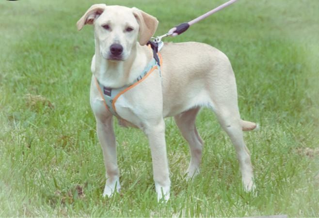 Chris - freundlich und neugierig