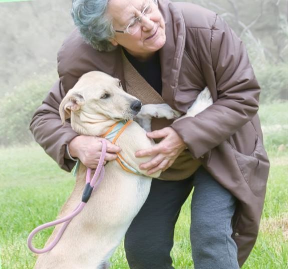 Chris - freundlich und neugierig