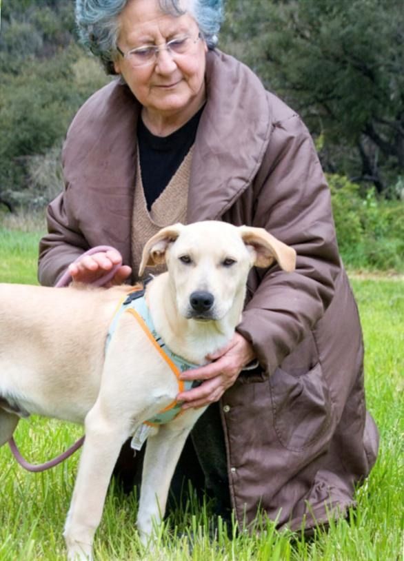 Chris - freundlich und neugierig